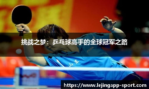 挑战之梦：乒乓球高手的全球冠军之路